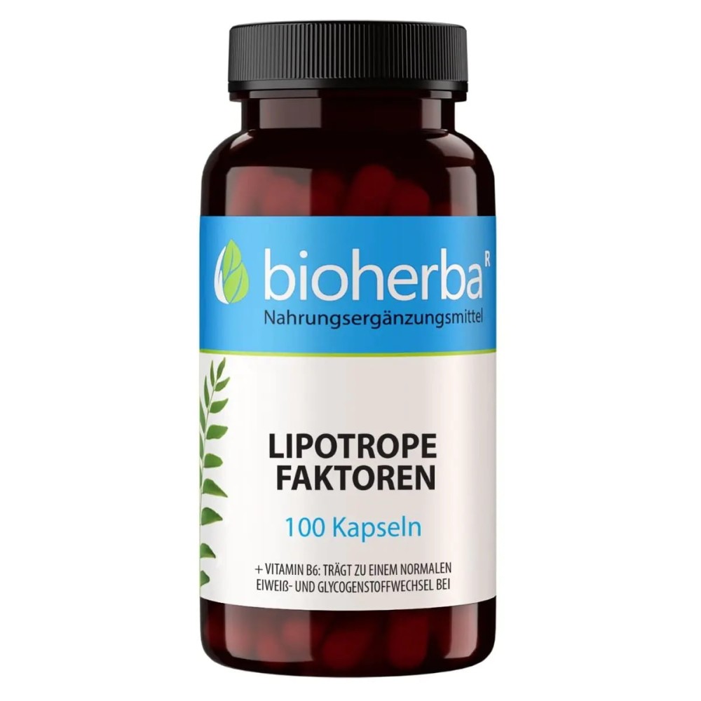 lipotropnye-faktory-kapsuly-inozitol-vitamin-b6-njy-6248
