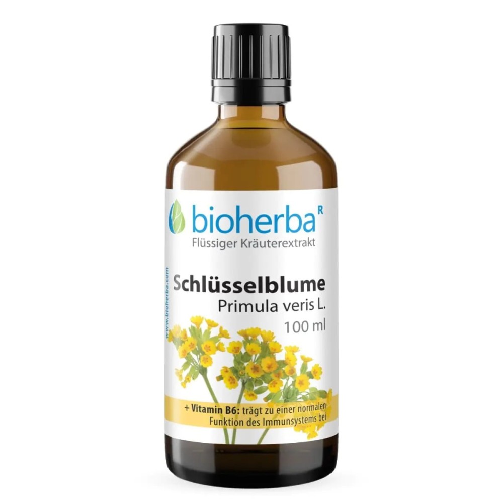 Настойка Primula veris L. с витамином B6 содержит экстракт цветков первоцвета в жидкой безалкогольной форме и подходит для ежедневного применения с поддержкой иммунной системы.