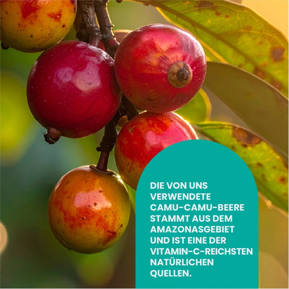 Био капсулы Camu-Camu с натуральным витамином C из амазонской ягоды для поддержки иммунной системы, защиты клеток и ежедневного антиоксидантного питания.