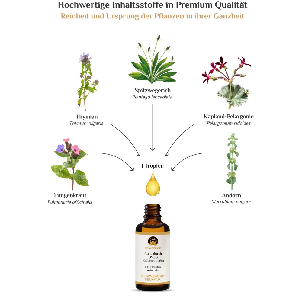 Натуральные DMSO травяные капли с медуницей, тимьяном и подорожником. Экстракт из свежих растений и корней без искусственных добавок и консервантов.