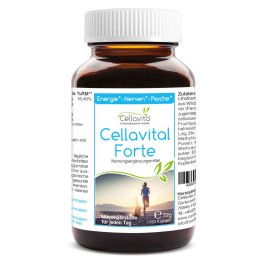 Cellavital® Forte — комплексная формула в капсулах с натуральным витамином C, кальцием, железом, медью, марганцем и витаминами группы B для ежедневного дополнения рациона.