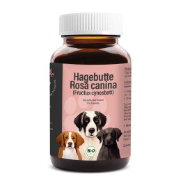 Порошок шиповника для собак из 100% плодов Rosa canina без добавок. Содержит природный витамин C, клетчатку и растительные вещества для ежедневного дополнения рациона питомца.