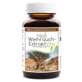 Порошок Weihrauch-Extrakt Vita из индийского ладана Boswellia-Serrata с содержанием более 65% босвеллиевых кислот. Чистый экстракт без добавок, подходит для воды, смузи и мюсли.